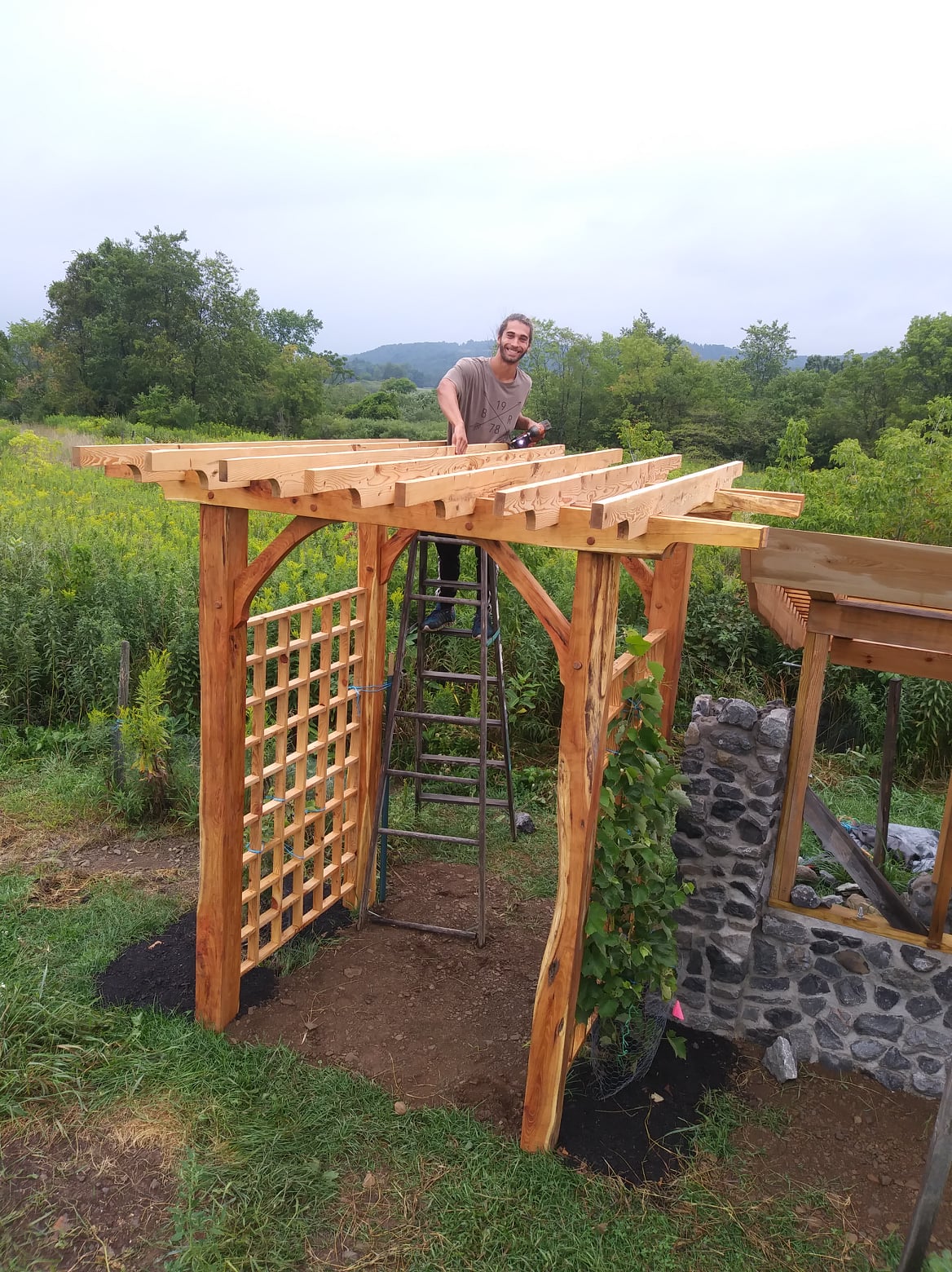 Intern finishing construction of grape arbor