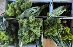 Organic leeks and kale