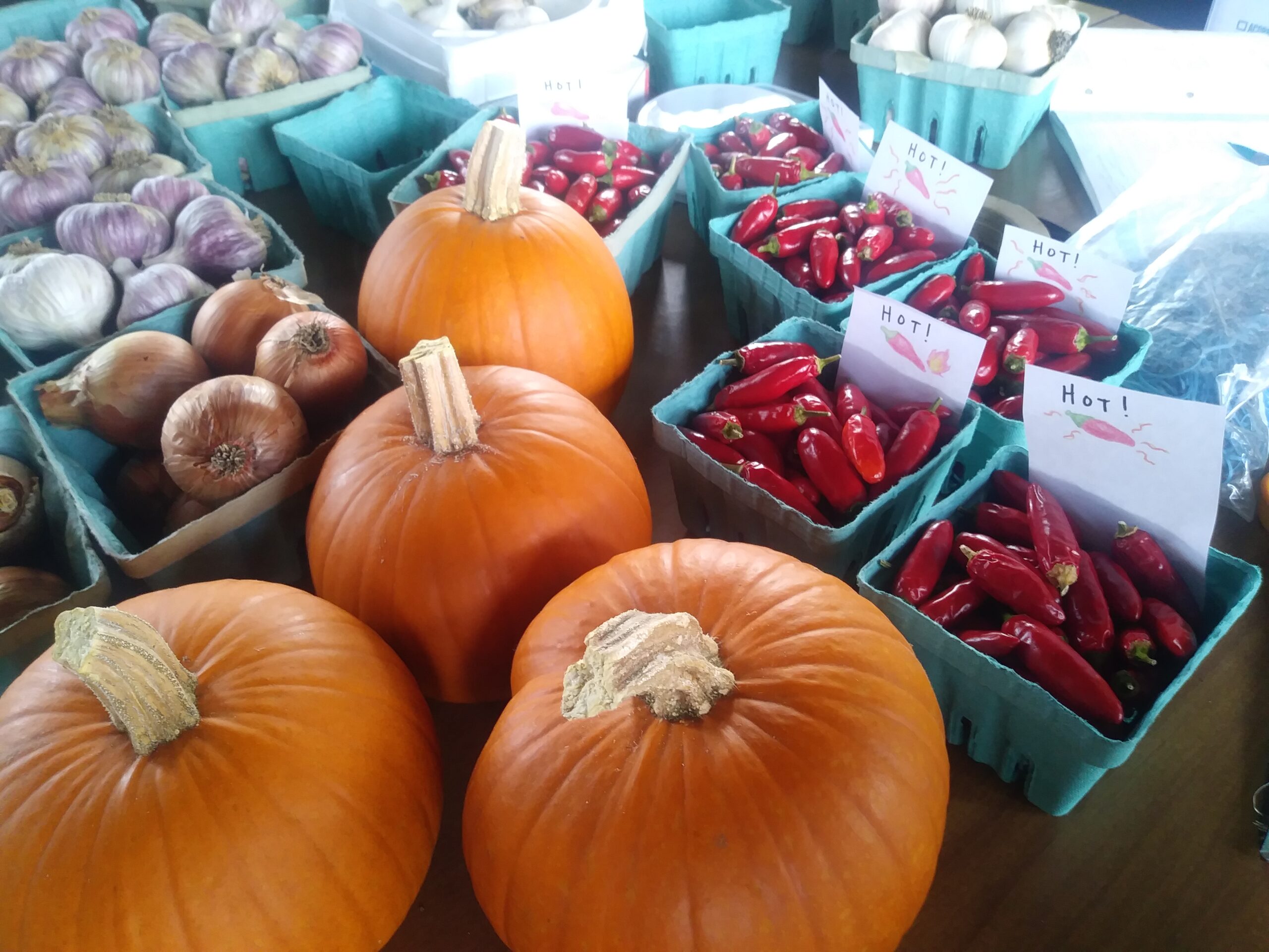 Pumpkins and hot peppers for veggie box program