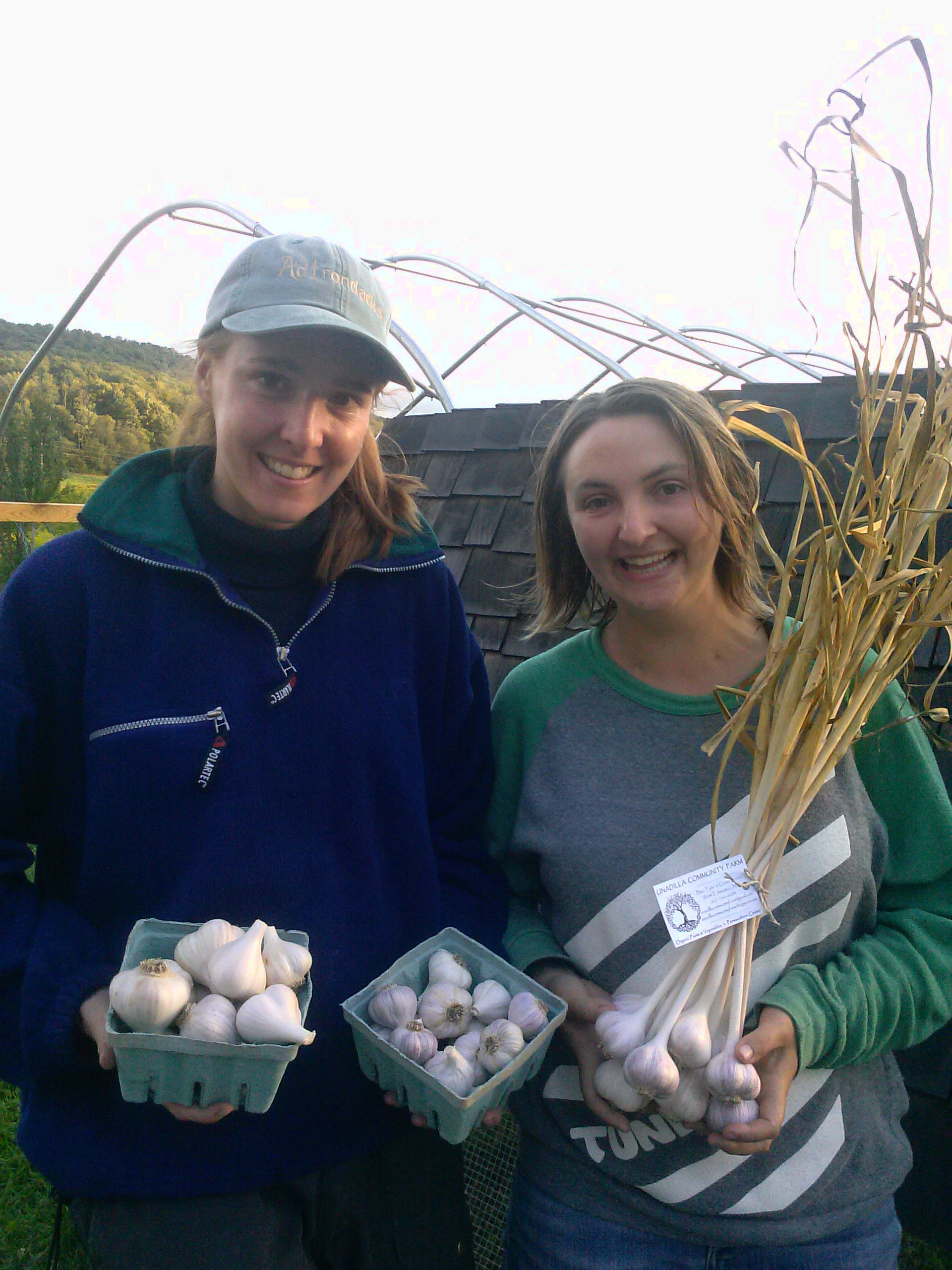 Permaculture interns with garlic