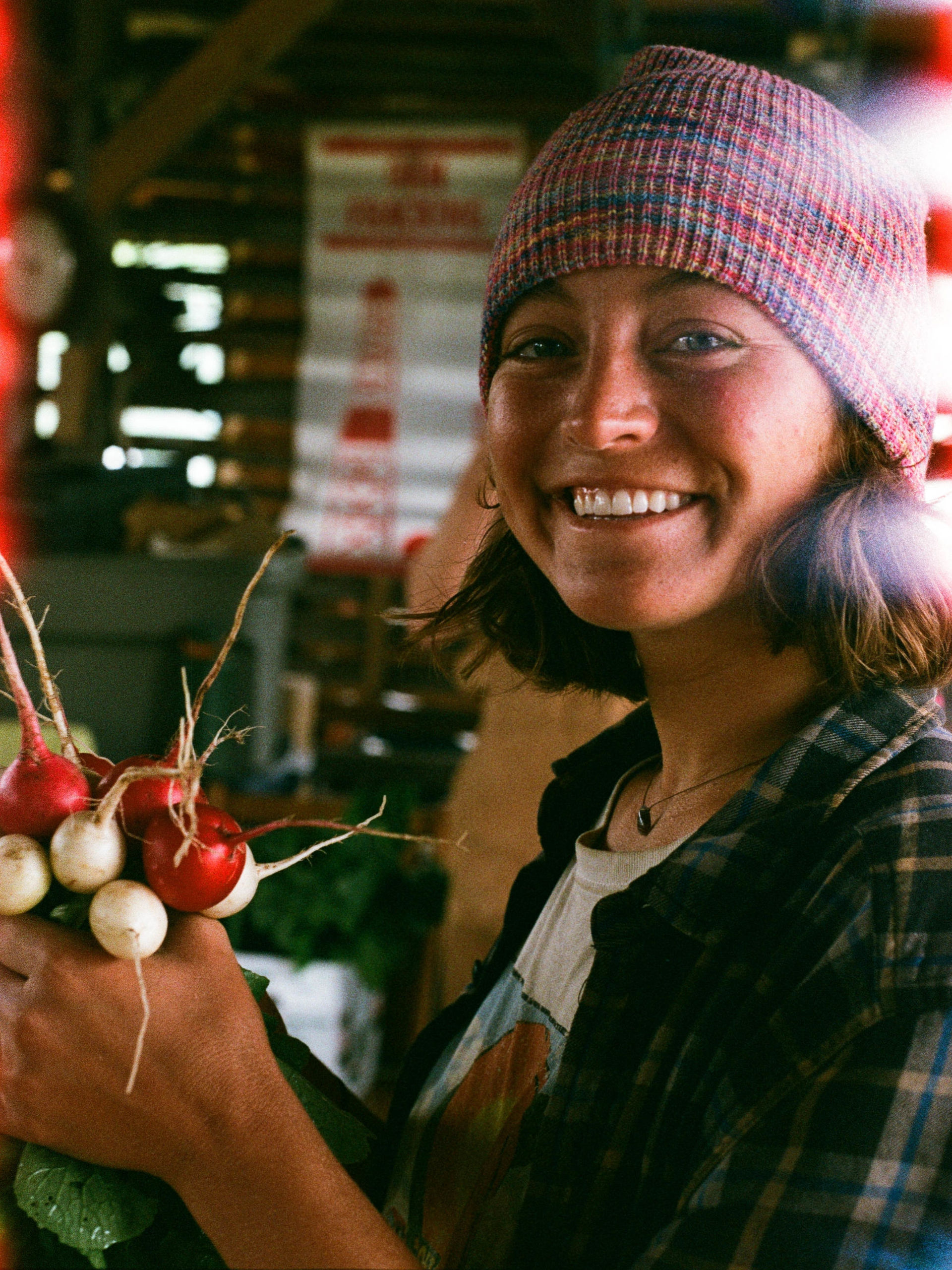 permaculture-intern-harvesting-radishes
