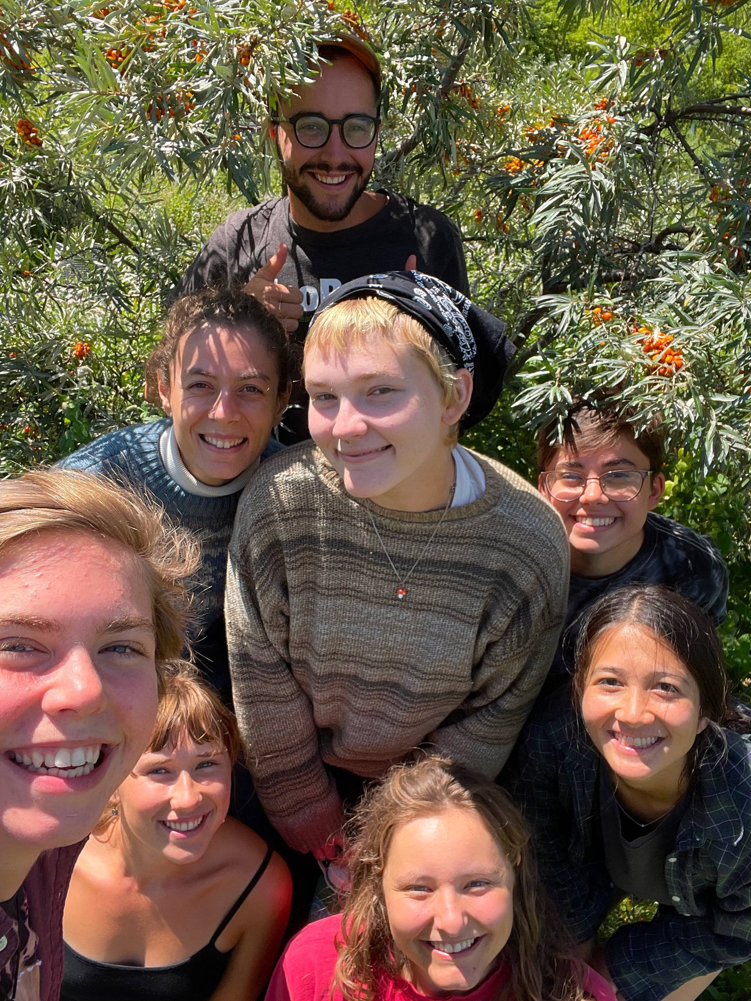 2022-interns-smiling-in-front-of-sea-buckthorn-tree