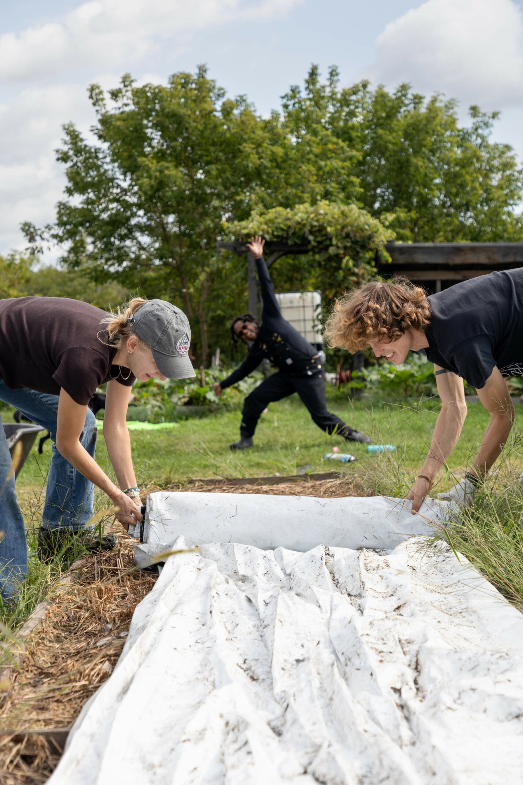 Silage tarps_Credit Carina Lemire