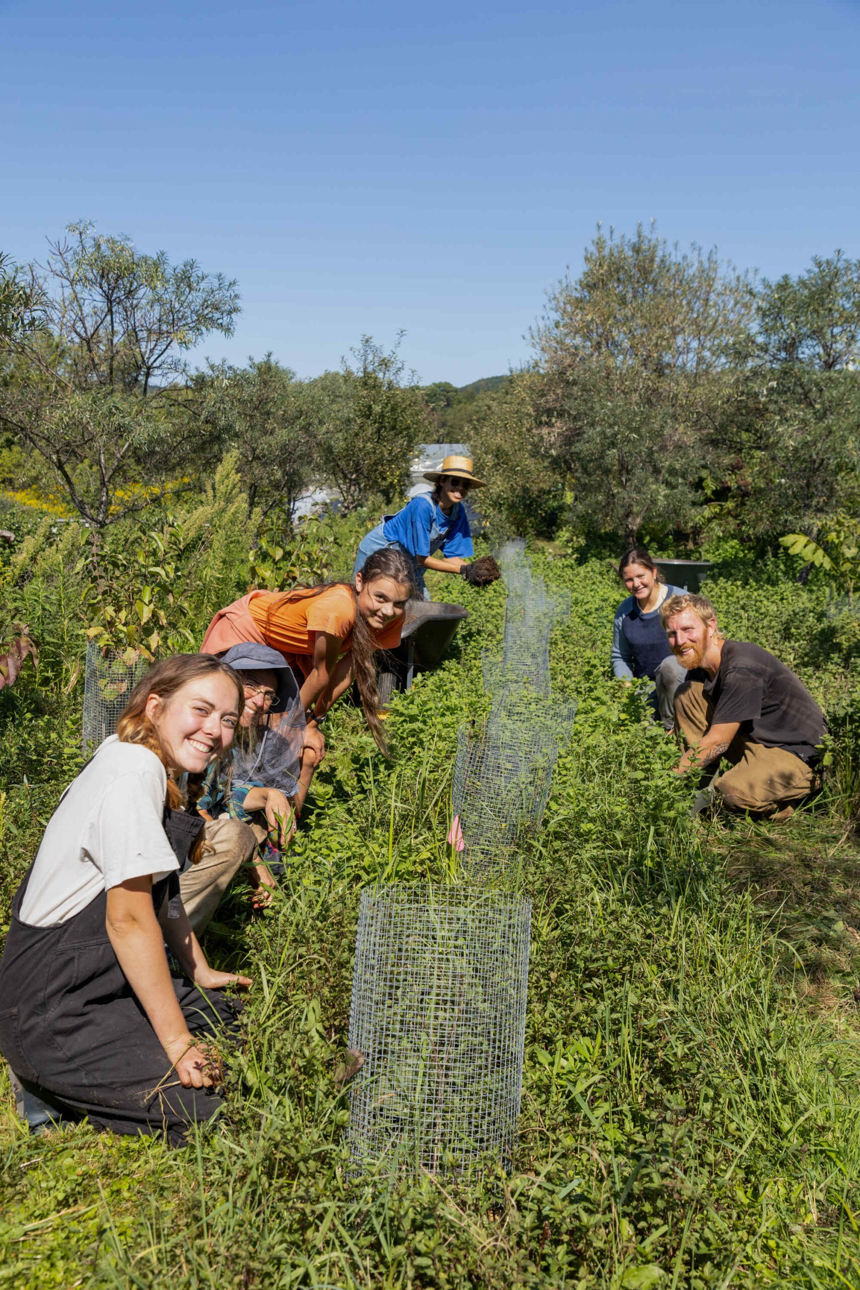 Weeding in the food forest_Credit Carina Lemire